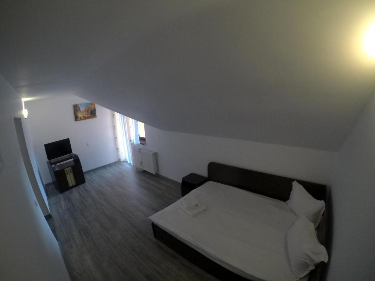 Pensiunea N.a.m Guest house Busteni